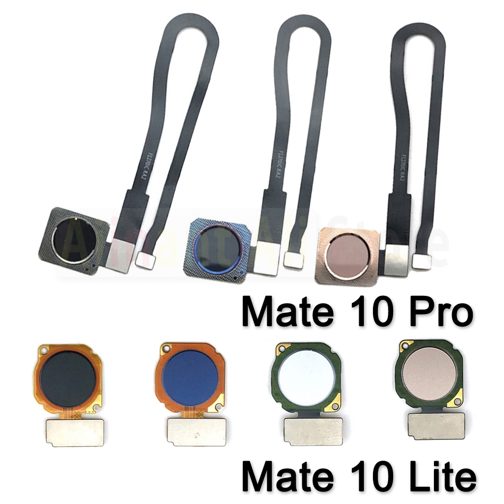 Fingerprint Cable Flex - AiinAnt tombol Home konektor kunci belakang